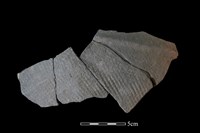 藏品(陶片)的圖片